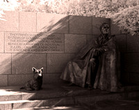 Washington DC War Memorials Infrared